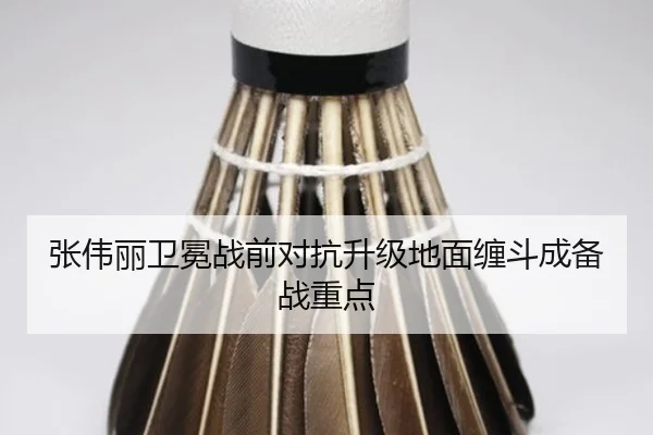 张伟丽卫冕战前对抗升级地面缠斗成备战重点（milan）